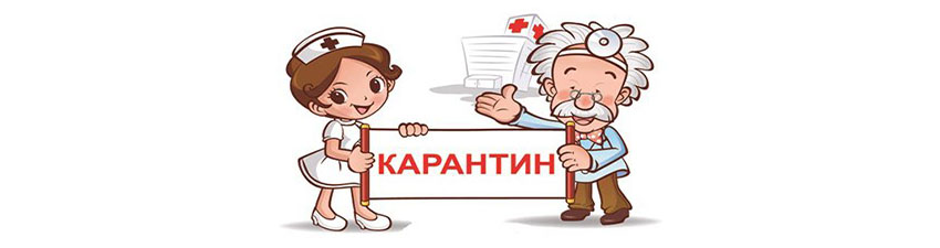 Карантина не будет