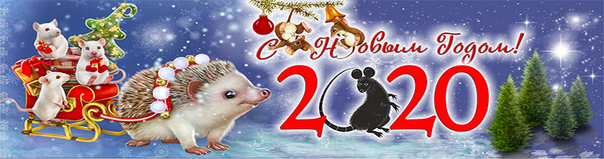 С Новым 2020 Годом