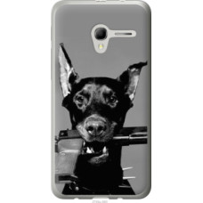 Чехол на Alcatel One Touch Pop 3 5.0 Доберман (2745u-940)