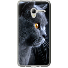 Чехол на Alcatel One Touch Pop 3 5.0 Красивый кот (3038u-940)