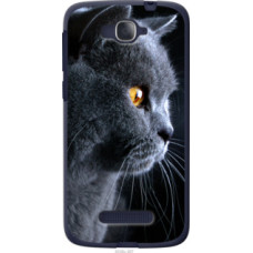 Чехол на Alcatel One Touch Pop C7 7041D Красивый кот (3038u-267)