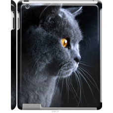 Чехол на Apple iPad 2/3/4 Красивый кот (3038c-25)