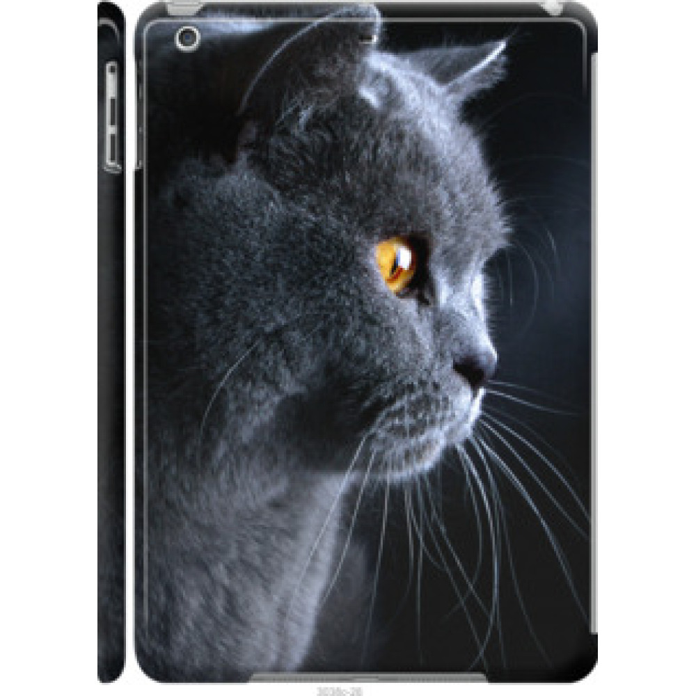 Чехол на Apple iPad 5 (Air) Красивый кот (3038c-26)