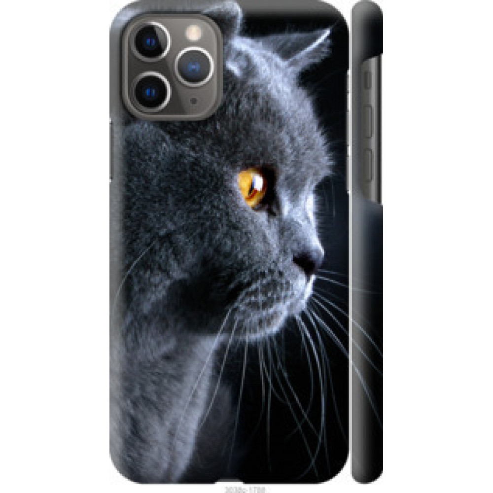 Чехол на Apple iPhone 11 Pro Красивый кот (3038c-1788)