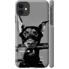 Чохол на Apple iPhone 11 Доберман (2745c-1722)