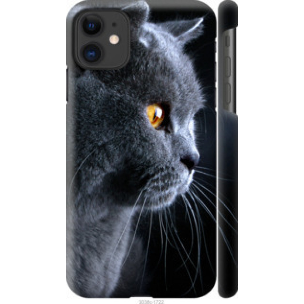 Чехол на Apple iPhone 11 Красивый кот (3038c-1722)