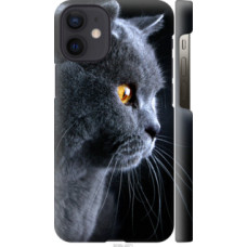 Чехол на Apple iPhone 12 Mini Красивый кот (3038c-2071)