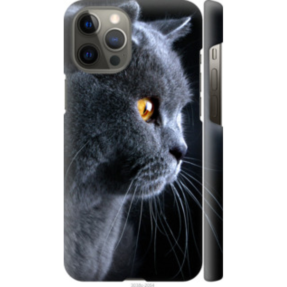 Чохол на Apple iPhone 12 Pro Max Красивый кот (3038c-2054)