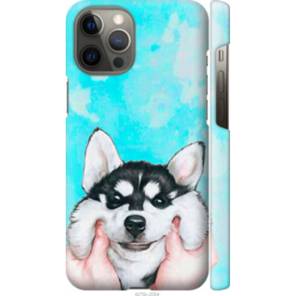 Чехол на Apple iPhone 12 Pro Max Улыбнись (4276c-2054)