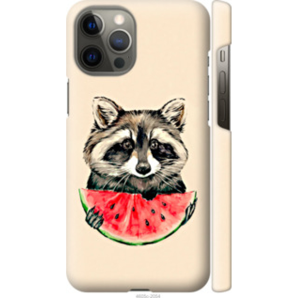 Чохол на Apple iPhone 12 Pro Max Енотик с арбузом (4605c-2054)