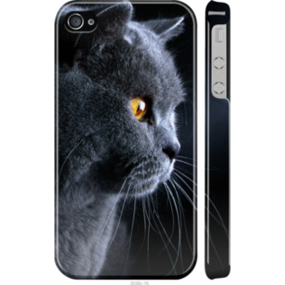 Чехол на Apple iPhone 4s Красивый кот (3038c-12)