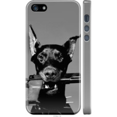 Чехол на iPhone 5s Доберман (2745c-21)