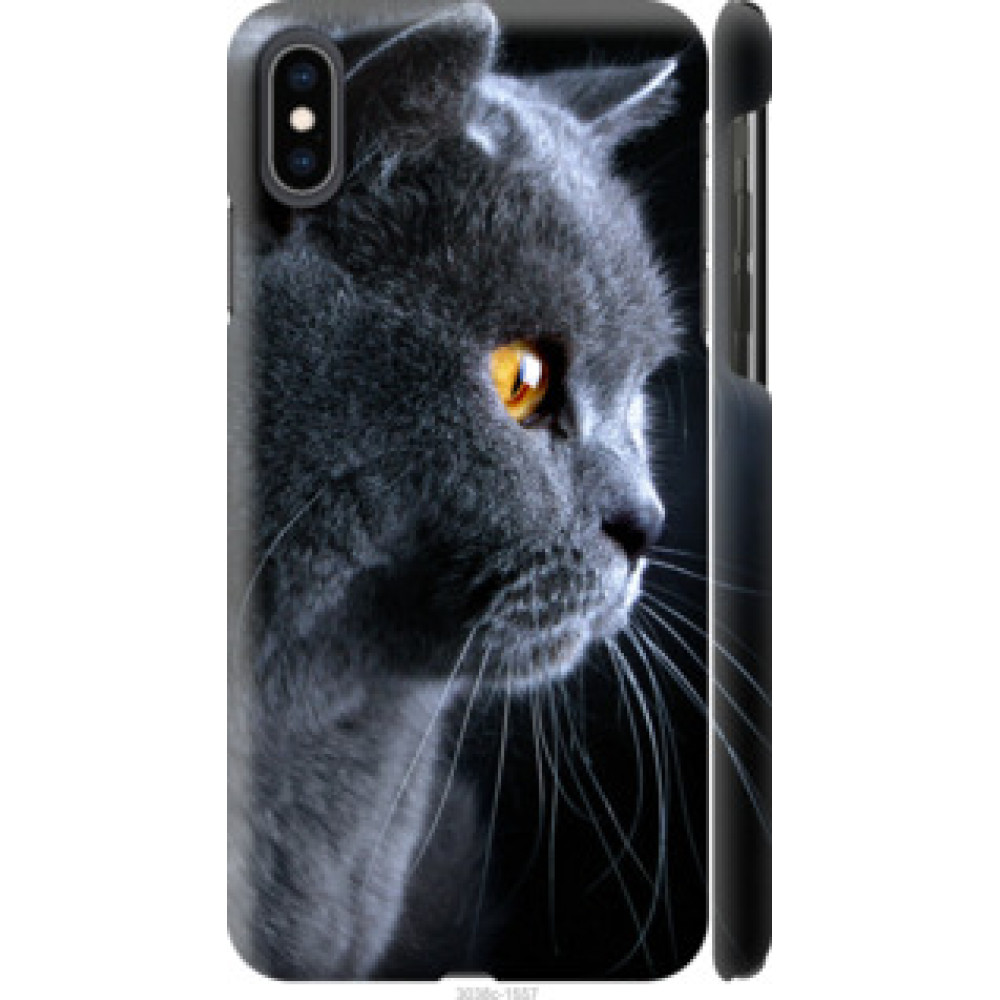 Чехол на Apple iPhone XS Max Красивый кот (3038c-1557)