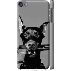 Чехол на iPod Touch 6 Доберман (2745c-387)