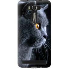 Чехол на Asus ZenFone 2 Laser 2 ZE550KL Красивый кот (3038u-124)