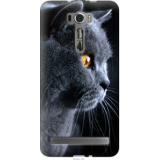 Чехол на Asus ZenFone 2 Laser ZE601KL Красивый кот (3038u-164)