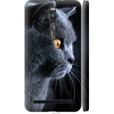 Чехол на Asus Zenfone 2 ZE551ML Красивый кот (3038c-122)