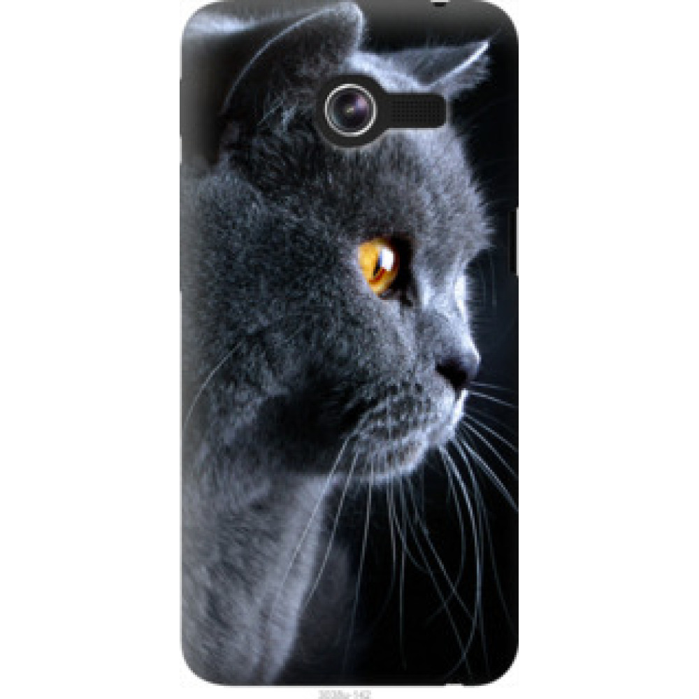 Чехол на Asus ZenFone 4 A400CGX Красивый кот (3038u-142)