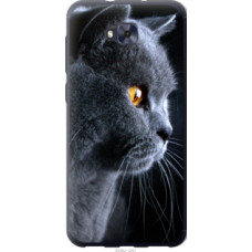 Чехол на Asus ZENFONE 4 SELFIE / ZD553KL Красивый кот (3038u-1241)