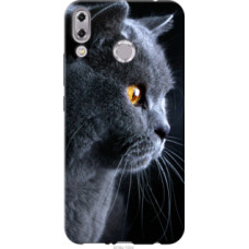 Чехол на Asus Zenfone 5 ZE620KL Красивый кот (3038u-1554)