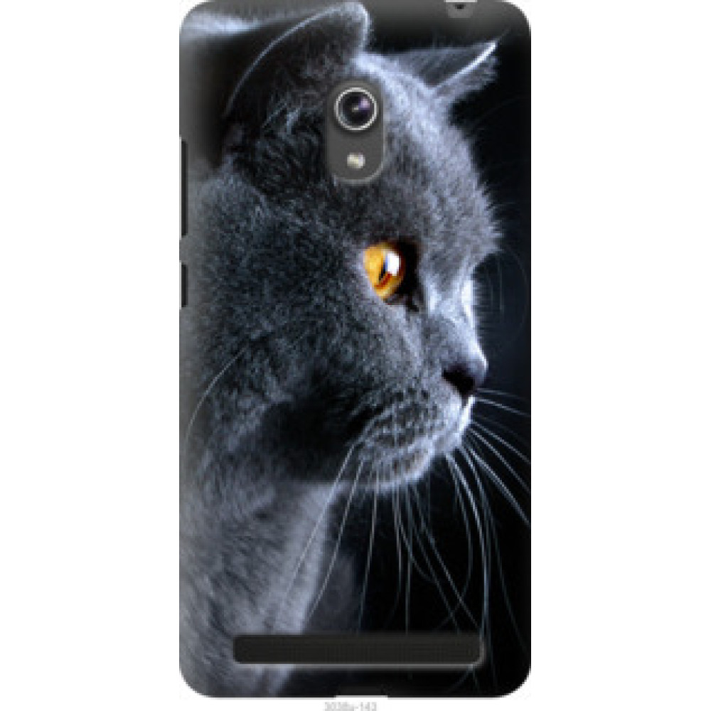 Чохол на Asus ZenFone 6 A600CG Красивый кот (3038u-143)