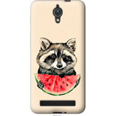 Чехол на Asus ZenFone C ZC451CG Енотик с арбузом (4605u-181)