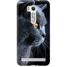Чехол на Asus ZenFone Go TV ZB551KL Красивый кот (3038u-354)