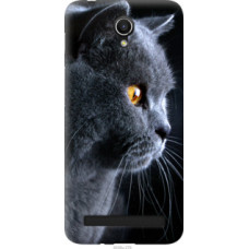 Чехол на Asus ZenFone Go ZC451TG Красивый кот (3038u-276)