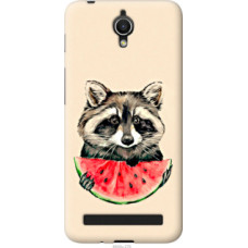 Чехол на Asus ZenFone Go ZC451TG Енотик с арбузом (4605u-276)