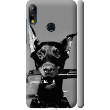Чехол на Asus Zenfone Max Pro M2 ZB631KL Доберман (2745c-1641)