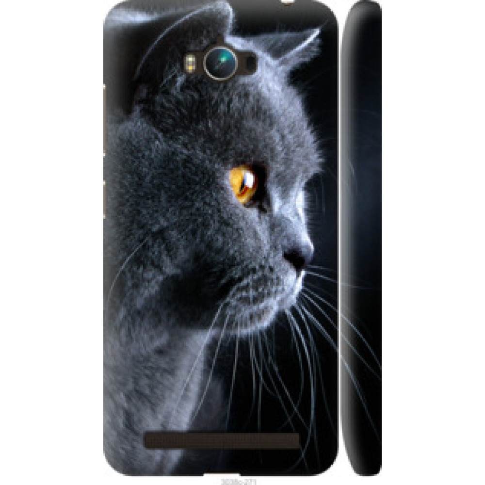 Чехол на Asus ZenFone Max ZC550KL Красивый кот (3038c-271)