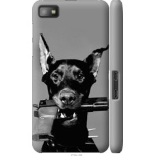 Чехол на Blackberry Z10 Доберман (2745c-392)