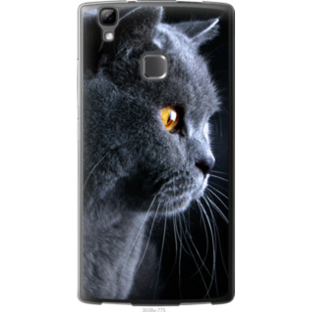 Чехол на Doogee X5 max Красивый кот (3038u-775)