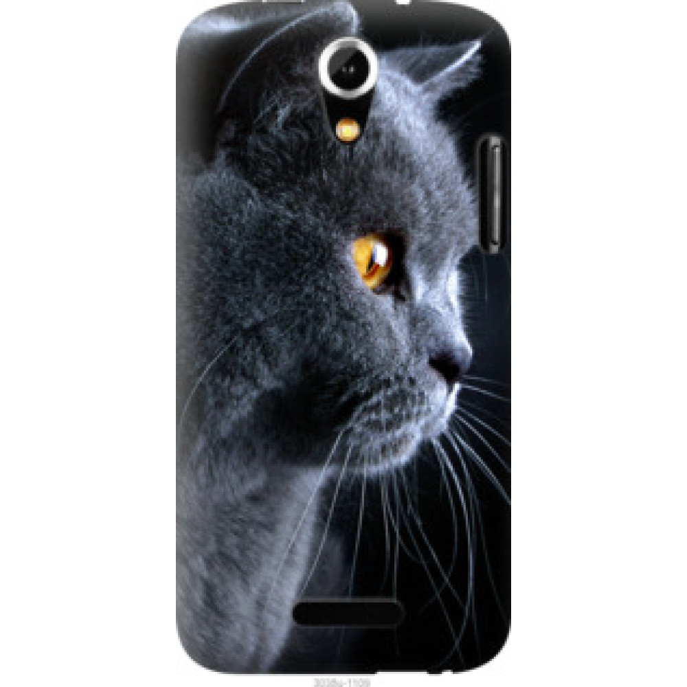 Чехол на Doogee Y100X Красивый кот (3038u-1109)