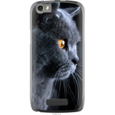 Чехол на Fly IQ4405 Красивый кот (3038u-218)