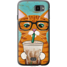 Чехол на Fly IQ4411 Зеленоглазый кот в очках (4054u-219)