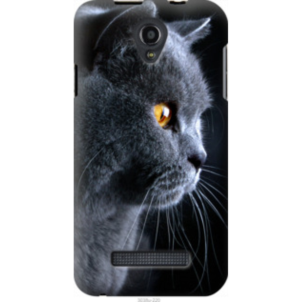 Чохол на Fly IQ4415 Красивый кот (3038u-220)