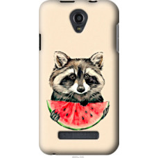 Чехол на Fly IQ4415 Енотик с арбузом (4605u-220)