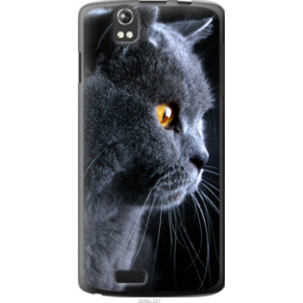 Чохол на Fly IQ4503 Красивый кот (3038u-221)