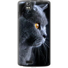 Чехол на Fly IQ4503 Красивый кот (3038u-221)