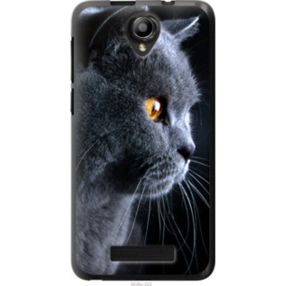 Чохол на Fly IQ4514 Красивый кот (3038u-222)