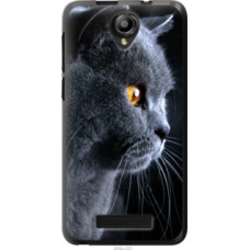 Чехол на Fly IQ4514 Красивый кот (3038u-222)