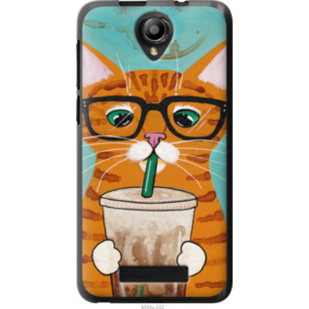 Чехол на Fly IQ4514 Зеленоглазый кот в очках (4054u-222)