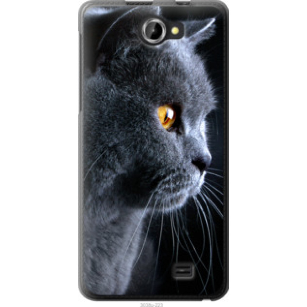 Чохол на Fly IQ456 Красивый кот (3038u-223)