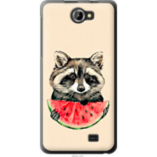 Чехол на Fly IQ456 Енотик с арбузом (4605u-223)
