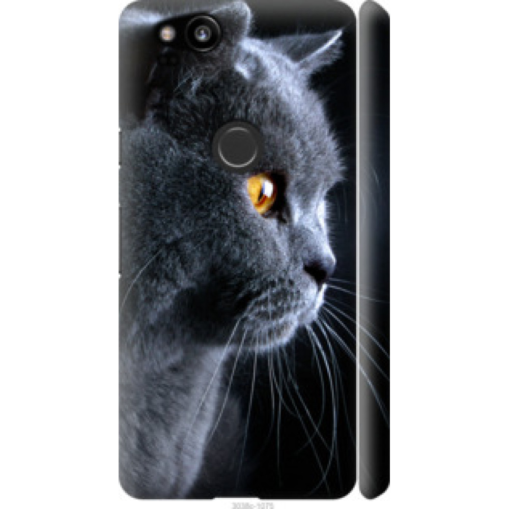 Чехол на Google Pixel 2 Красивый кот (3038c-1075)