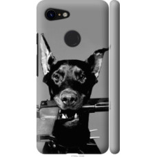 Чехол на Google Pixel 3 Доберман (2745c-1528)