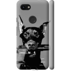 Чехол на Google Pixel 3a Доберман (2745c-1700)