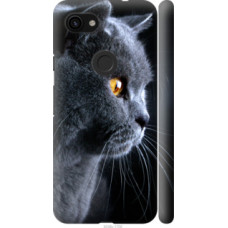 Чехол на Google Pixel 3a Красивый кот (3038c-1700)