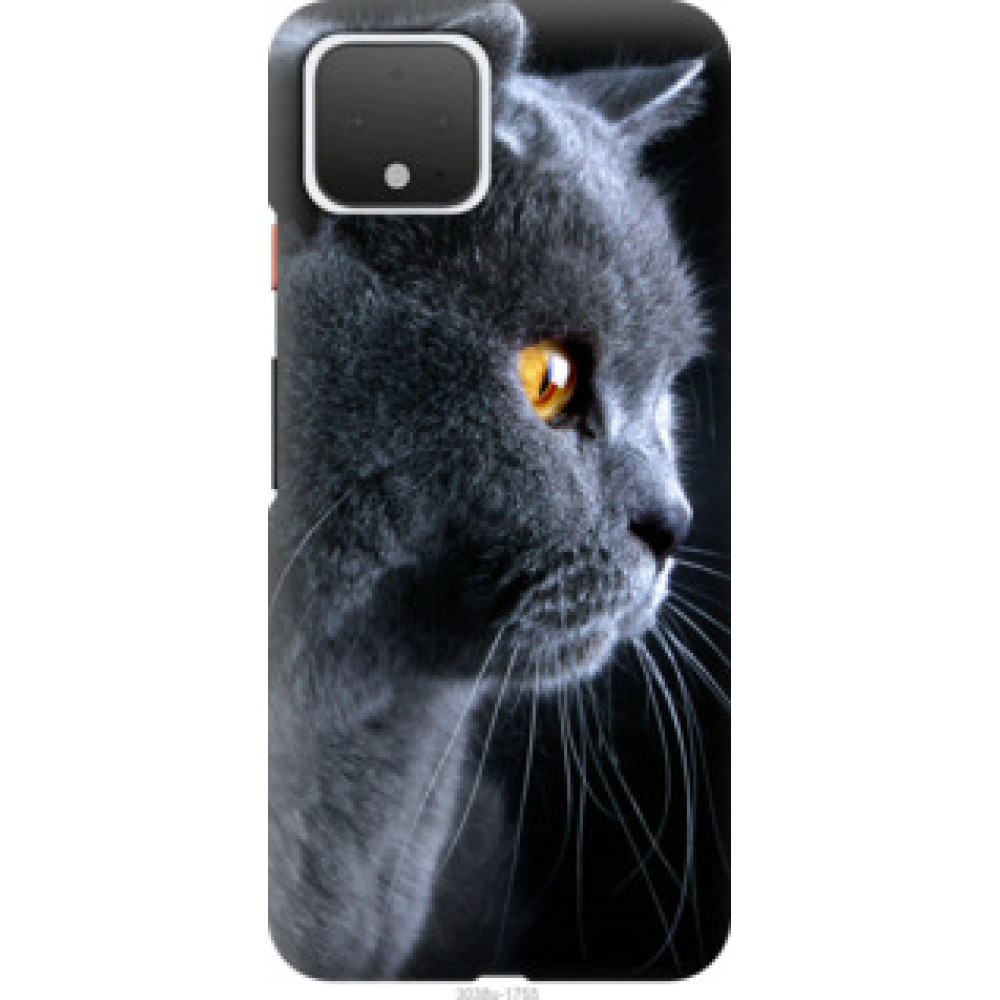 Чохол на Google Pixel 4 Красивый кот (3038u-1755)